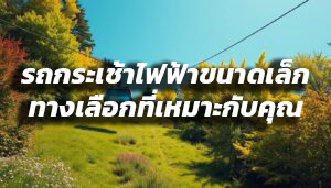 รถกระเช้าไฟฟ้าขนาดเล็ก 300x171